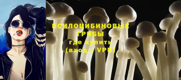 не бодяженный Нефтекумск
