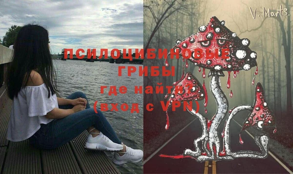 стаф Абдулино