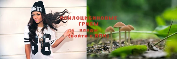 стаф Абдулино