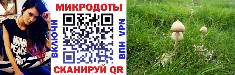 гидра ONION  цены   Каменск-Уральский  Псилоцибиновые грибы мухоморы 